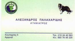 ΑΛΕΞΑΝΔΡΟΣ  ΠΑΛΑΧΑΡΙΔΗΣ